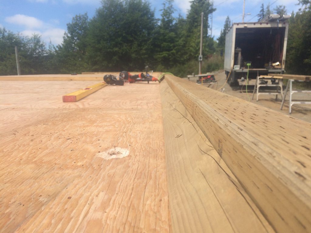 plywood roof